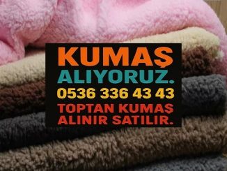 Kumaş Alanlar Peluş Kumaş Satın Alanlar Peluş Kumaş Fiyatları Peluş Kumaş Satışı Peluş Kumaş Nerede Bulunur Metrelik Peluş Kumaş Toptan Peluş Kumaş Ucuz Peluş Kumaş Kaliteli Peluş Kumaş