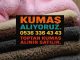 Kumaş Alanlar Peluş Kumaş Satın Alanlar Peluş Kumaş Fiyatları Peluş Kumaş Satışı Peluş Kumaş Nerede Bulunur Metrelik Peluş Kumaş Toptan Peluş Kumaş Ucuz Peluş Kumaş Kaliteli Peluş Kumaş